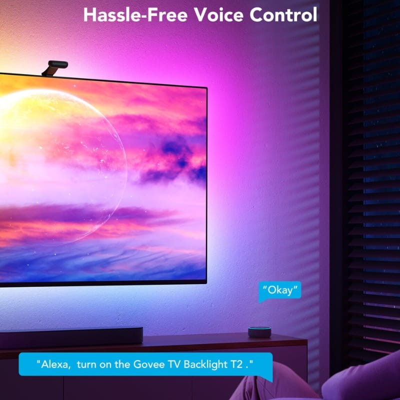 Govee H605C Envisual TV Backlight T2 - commande vocale