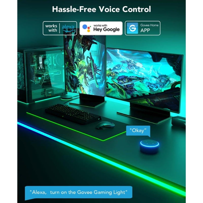 Govee H61C2 Neon Gaming - Bande LED - commande vocale