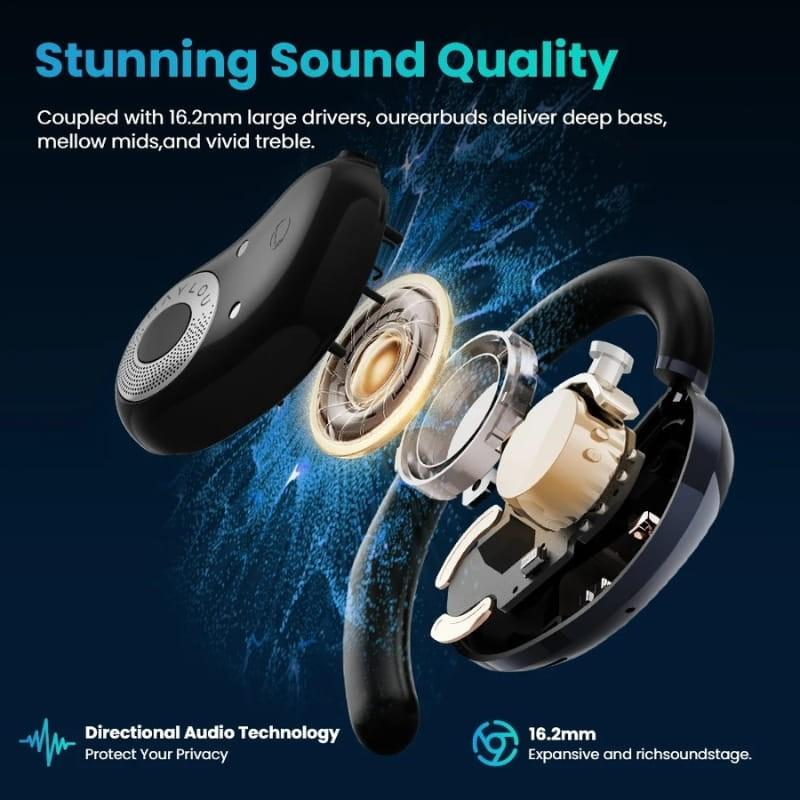 Haylou Earhook 1 TWS Negro - transductores