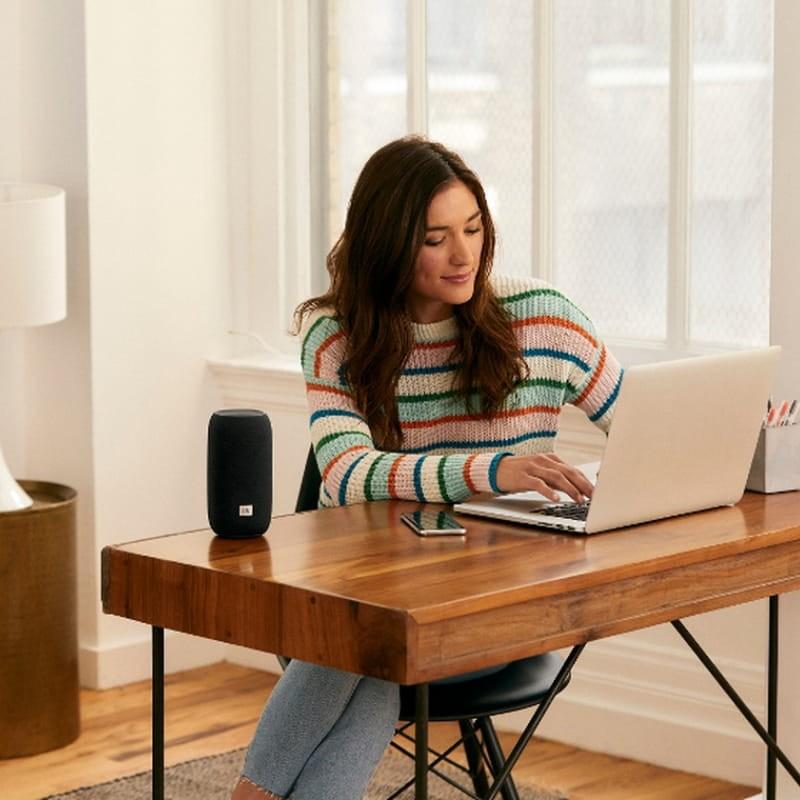 JBL Link Portable 20W Gris - Altavoz Bluetooth - conectividad WiFi