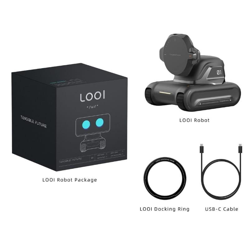 LOOI Robot con Chat GPT - contenido de la caja