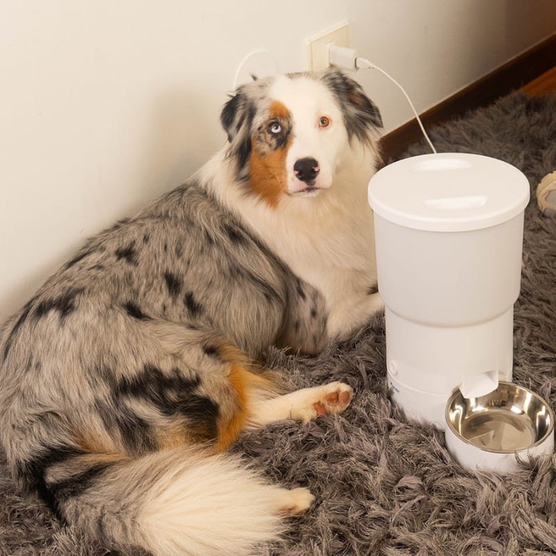 Orbitaler Yupiter GalaxyGourmet 5000 - vista a 45 grados