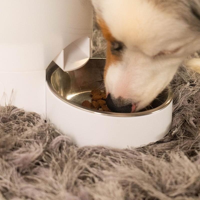 Orbitaler Yupiter GalaxyGourmet 5000 - comedero para perros