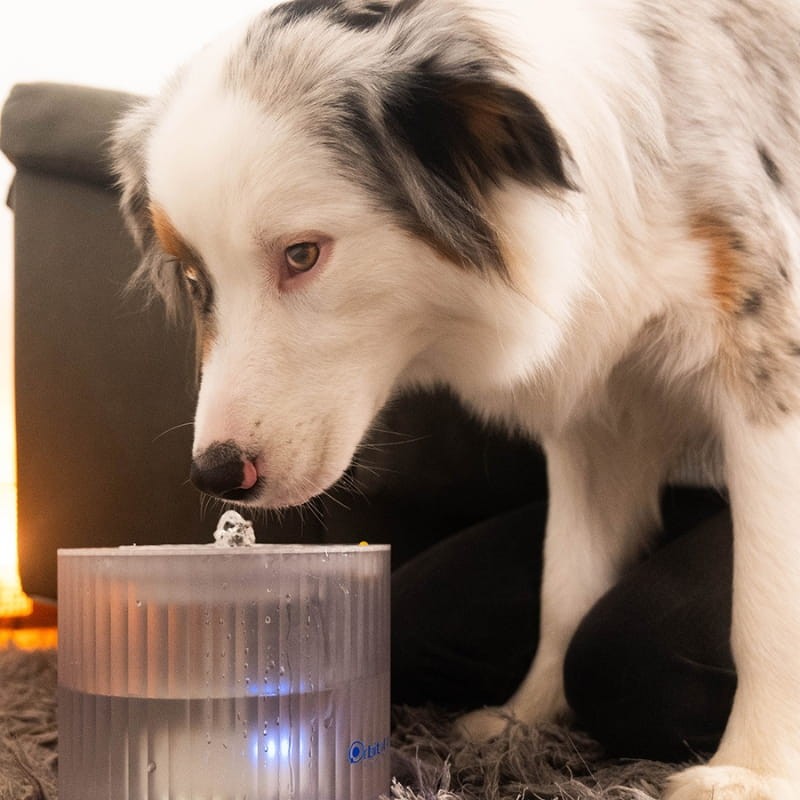 Orbitaler Yupiter HydronisFountain 1800 Pure Vitality - compatible con perros