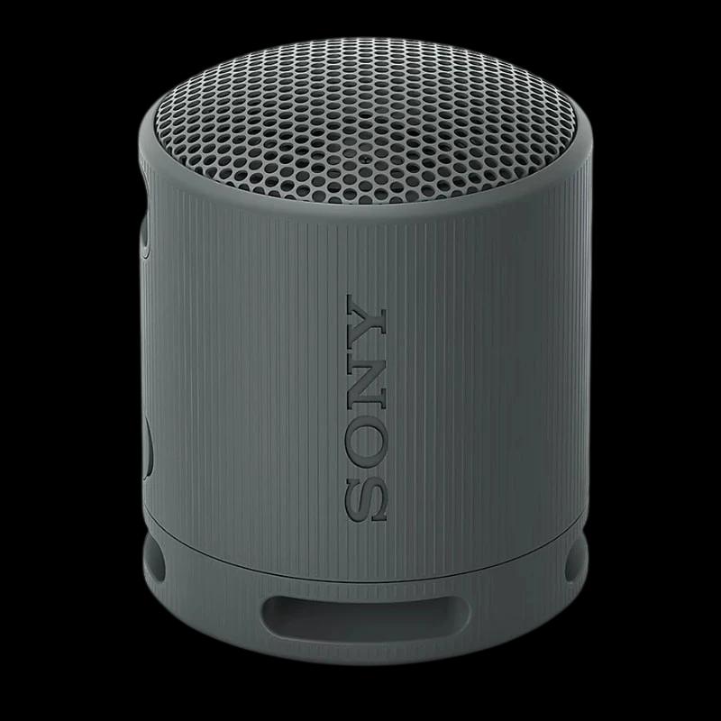 Sony SRS-XB100 Noir  Enceinte Bluetooth