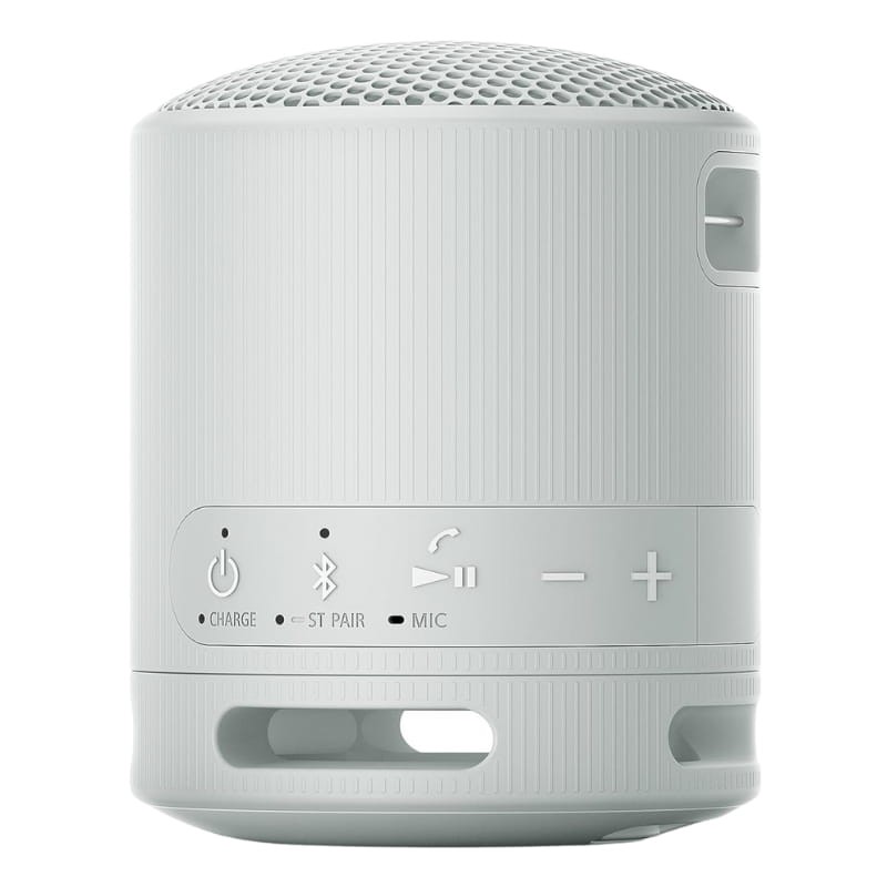 Sony SRS-XB100 Gris - Enceinte Bluetooth - boutons intégrés