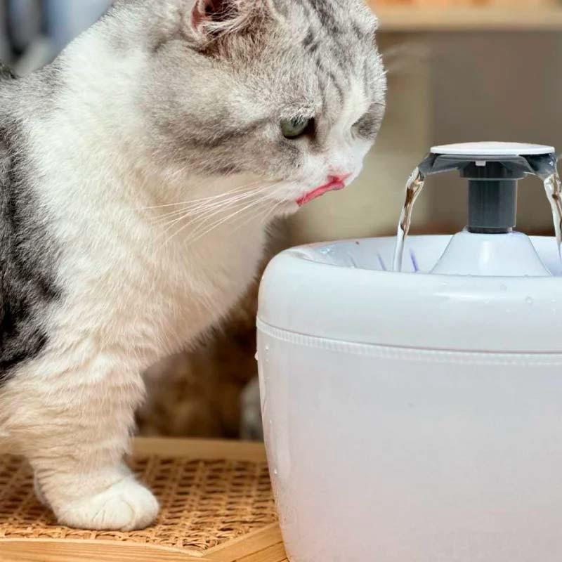 Fontaine AmiCura A2 - pompe silencieuse de 40 dB