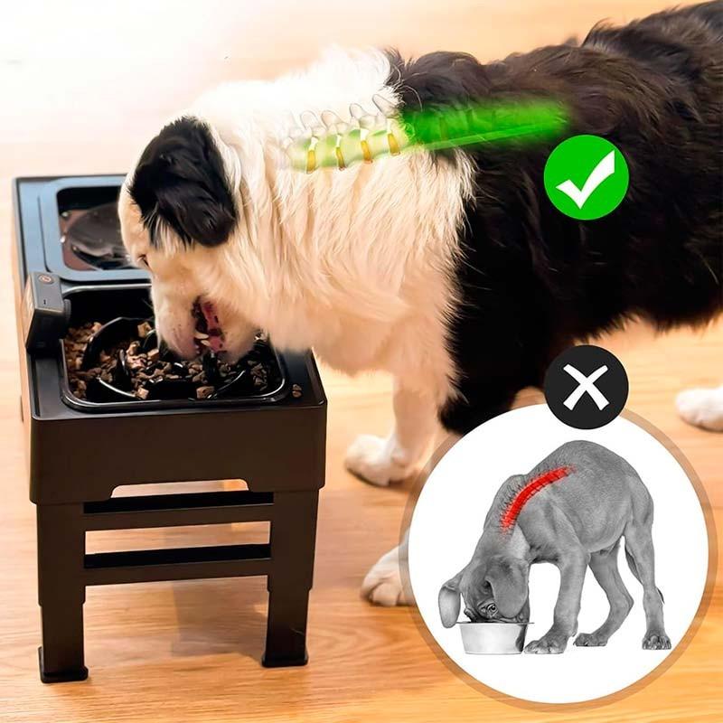 AmiCura Comedero Doble y Plegable con Altura Ajustable - reduce el estrés en el cuello