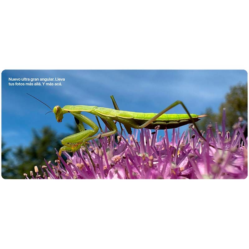 ultra gran angular del Teléfono móvil Apple iPhone 16 Plus 5G 256GB Verde