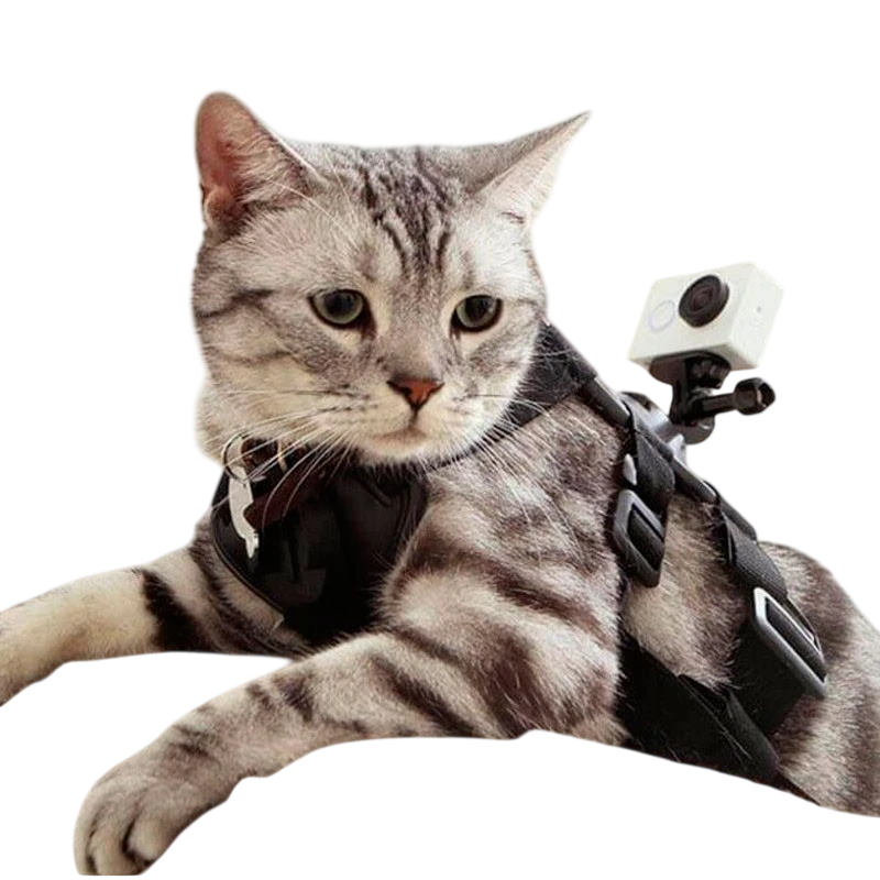 Arnés para Mascotas Yi Action - Pequeño