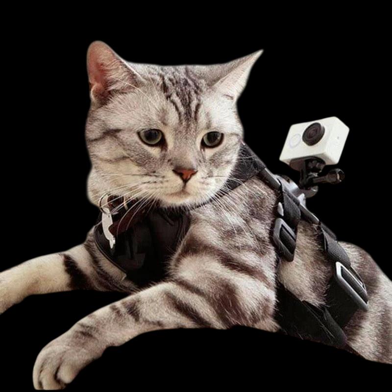 Arnés para Mascotas Yi Action - Pequeño