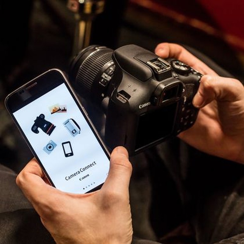 Canon EOS 2000D + EF-S 18-55 IS II 