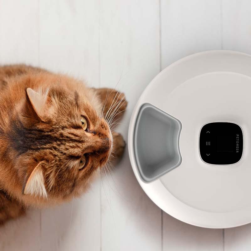 foto real del Comedero Automático Petoneer NutriSpin