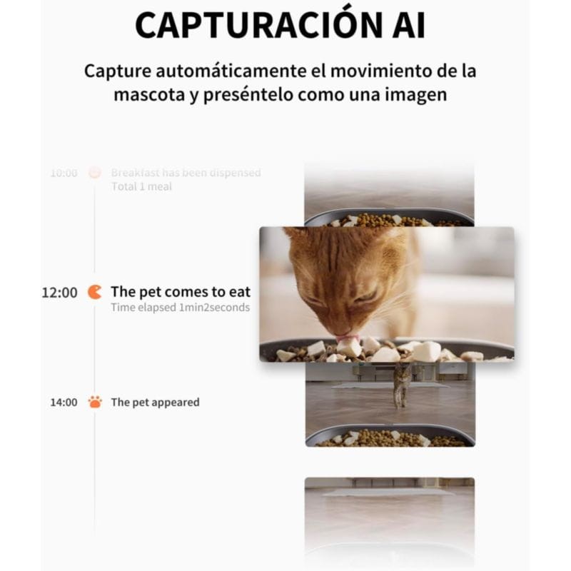Cpatura de movimiento con el Comedero inteligente PETKIT Yumshare Dual-Hooper Blanco