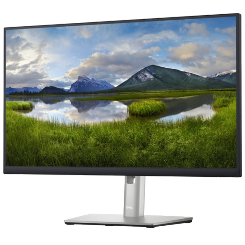 Dell P Series Monitor P2423D LED 23,8 QHD IPS Negro – Monitor PC vista frontal izquierda