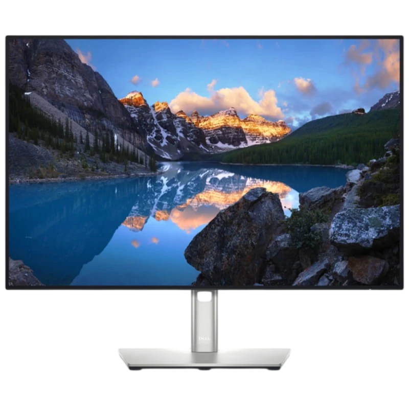 Dell UltraSharp U2421E 24.1 WUXGA IPS Plata - Monitor PC