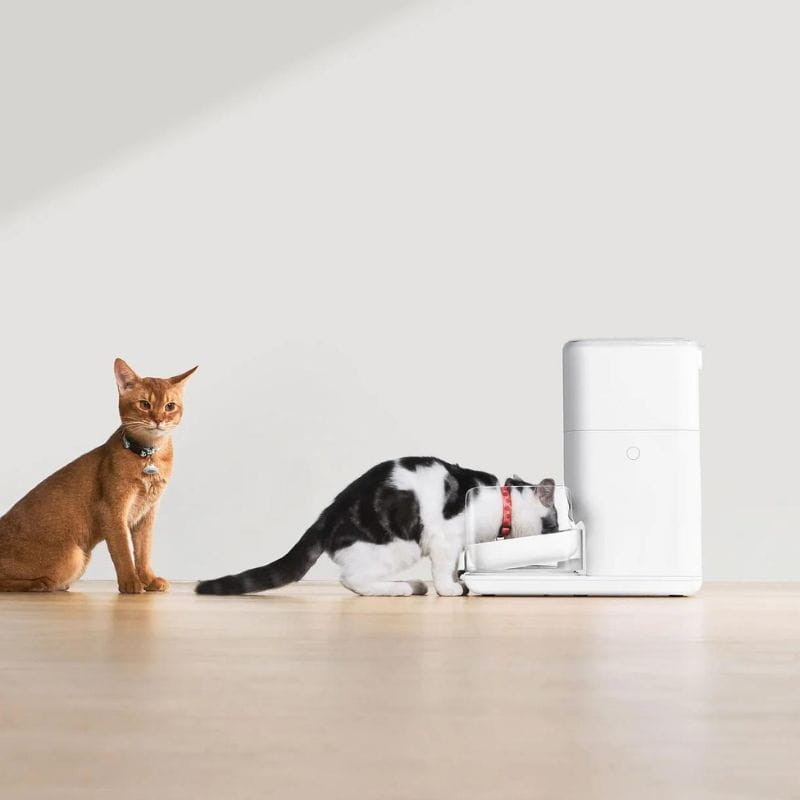 Catlink F04 Fresh 2 Luxury White Smart Feeder avec chats