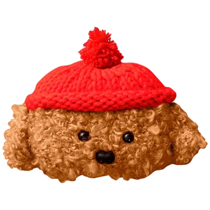 Housse Teddy Bear pour Apple Airpods Pro