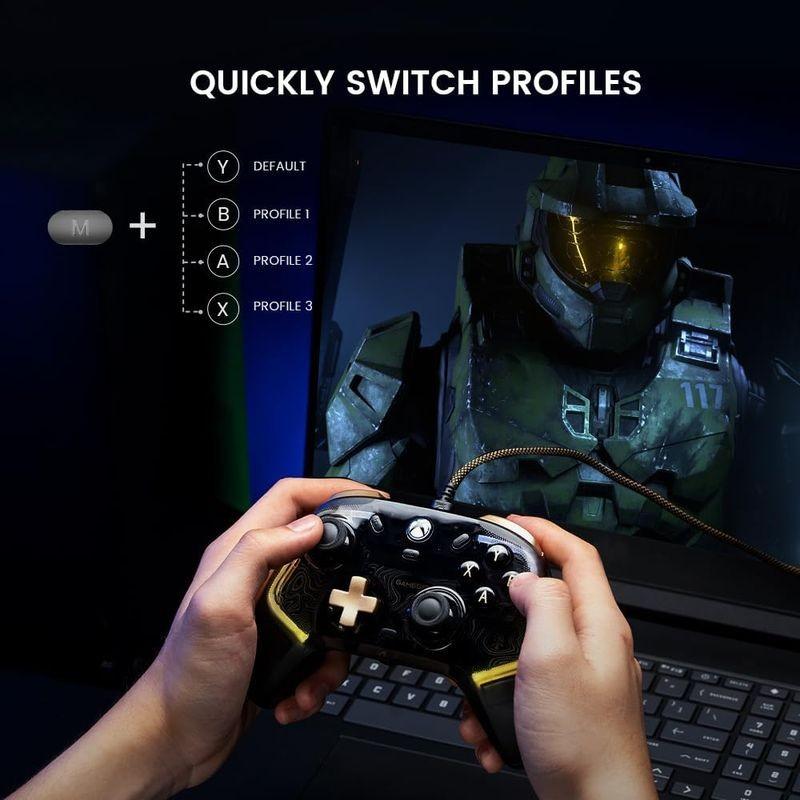 Câble de Manette GameSir Kaleid Flux Noir - Manette de jeu pour XBOX/PC