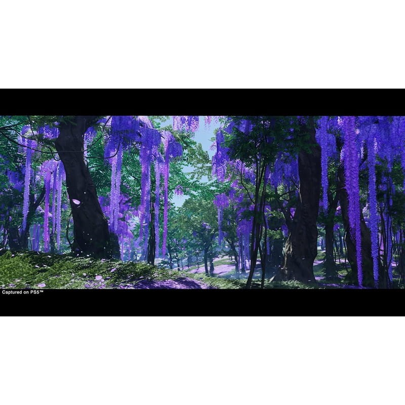 Ghost of Tsushima Director's Cut - PS5 Imagen del juego arboles lilas