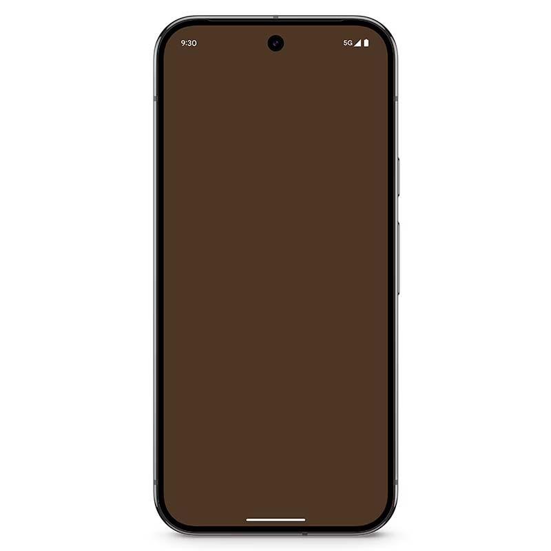 Google Pixel 9 Pro 5G 16GB/256GB Obsidiana - vista frontal