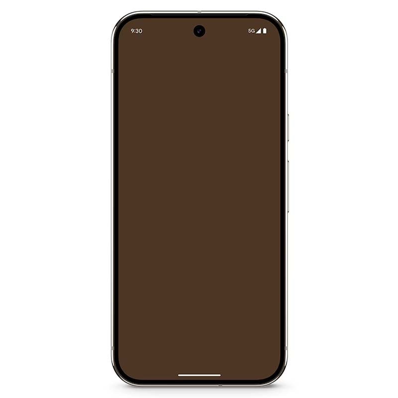 Google Pixel 9 Pro 5G 16Go/128Go Porcelaine - vue de face