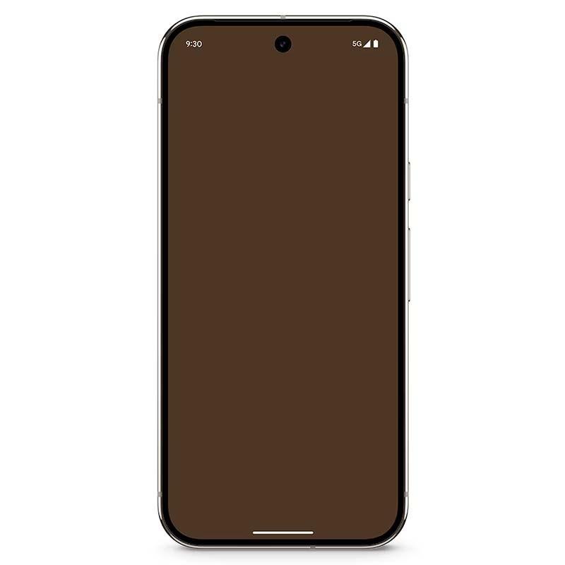 Google Pixel 9 Pro 5G 16Go/128Go Porcelaine - vue de face