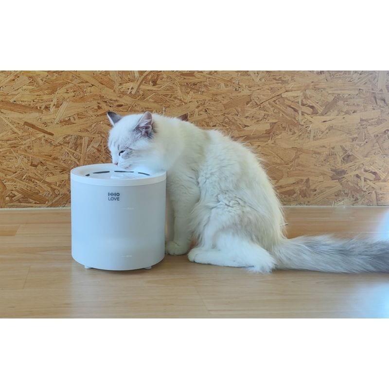 Chat buvant de l'eau dans la Fontaine à eau HHOLove CT-FTKSD