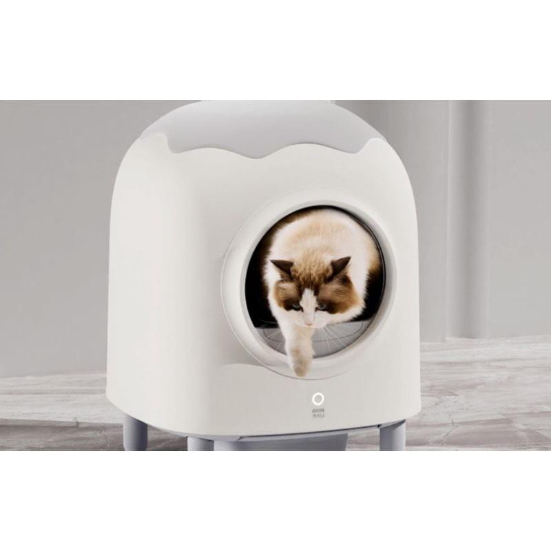 Gato saliendo del Arenero inteligente autolimpiable HHOLove iPet