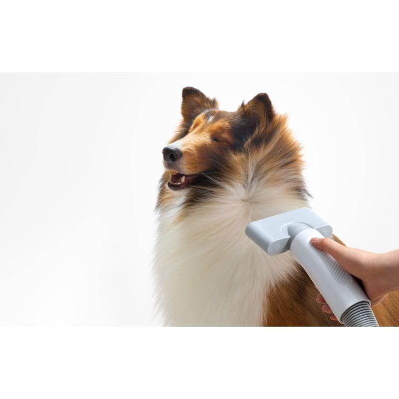 Perro secando su pelo con el Secador para mascotas Homerunpet PD10