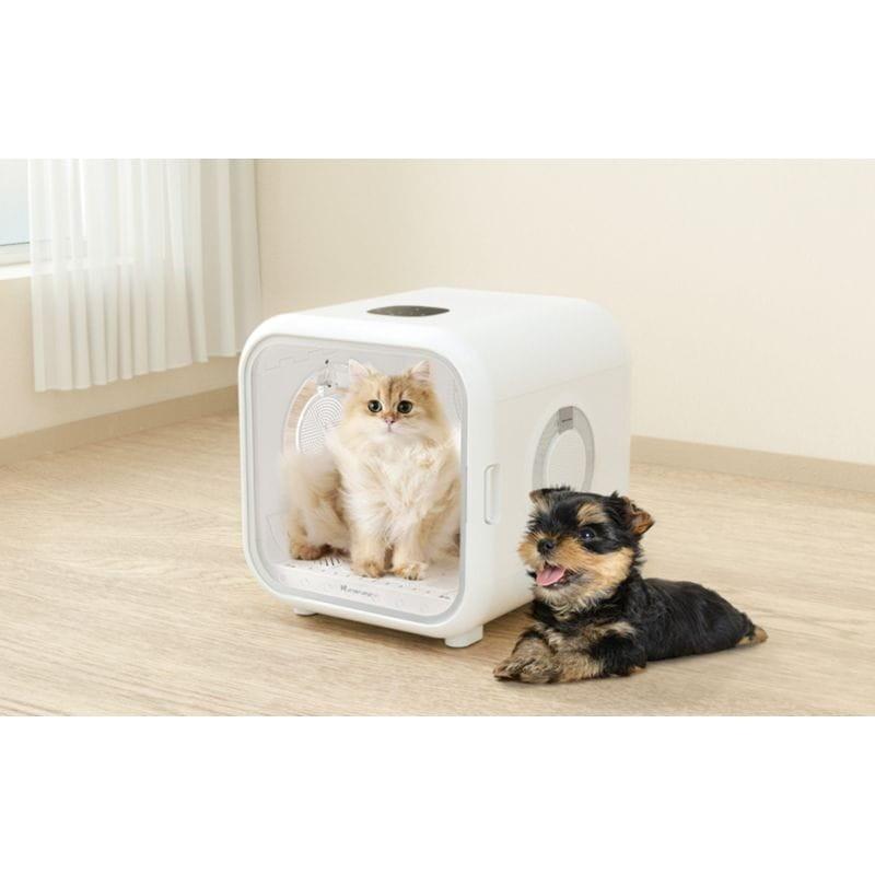 Gato dentro de la Homerunpet PD50 Estación de secado para mascotas