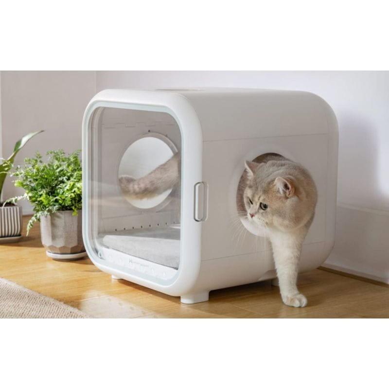 Gato saliendo de la Homerunpet PD50 Estación de secado para mascotas