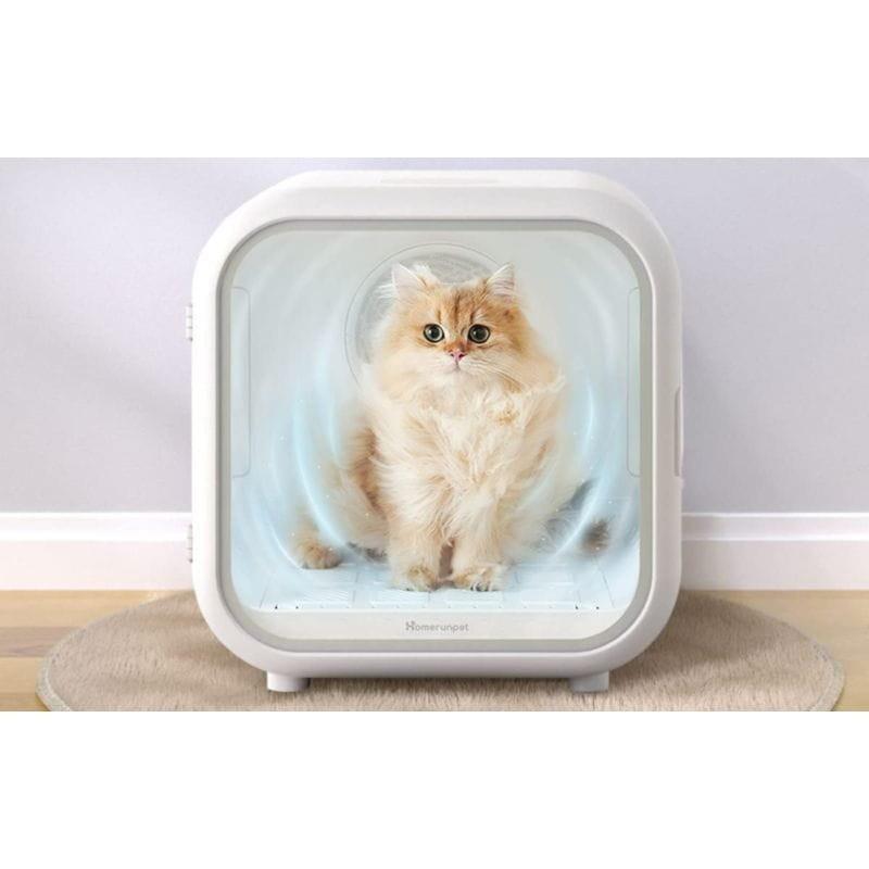 Gato en el interior del Homerunpet PD50 Estación de secado para mascotas