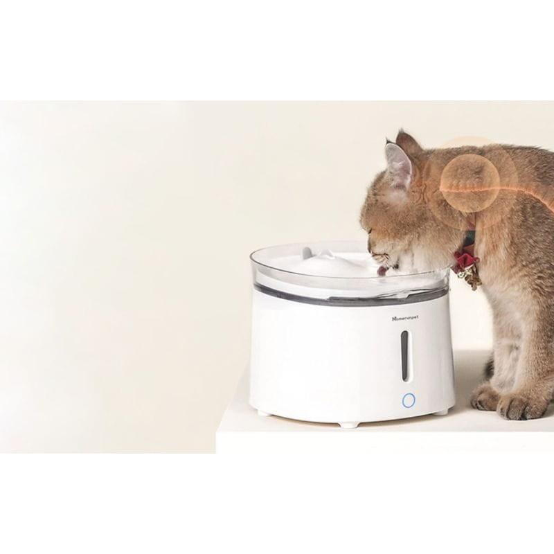 Gato bebiendo agua de la Fuente de agua para mascotas Homerunpet WF20