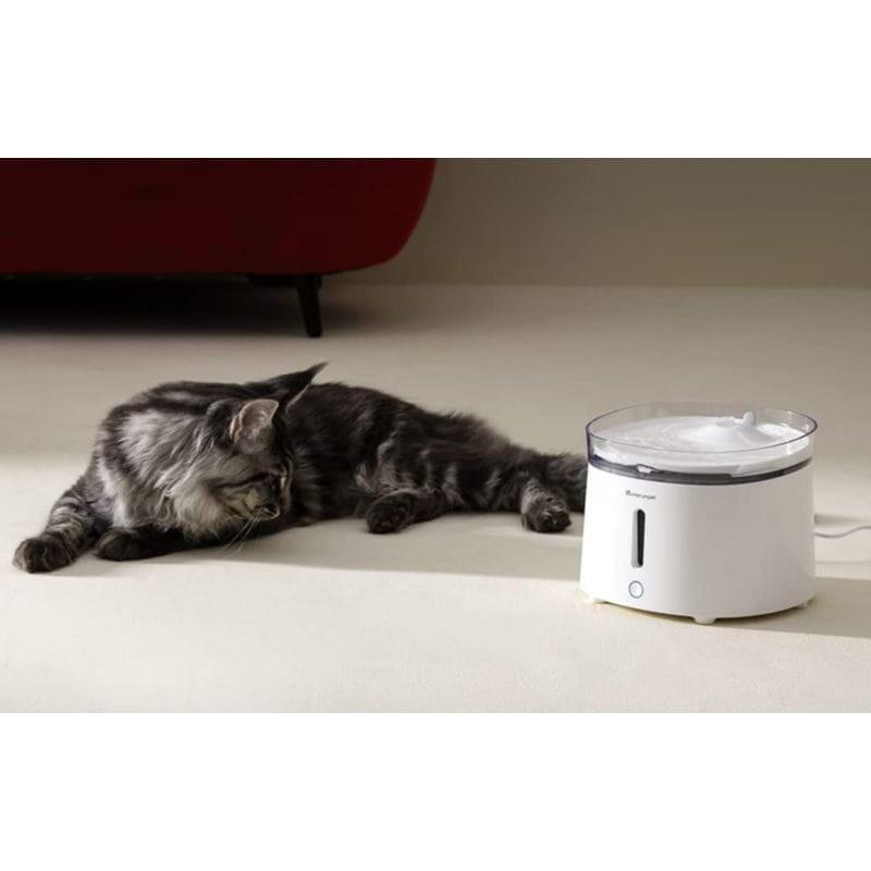 Gato junto a la Fuente de agua para mascotas Homerunpet WF20