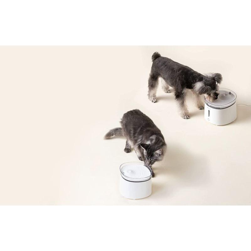 Gato y perro bebiendo agua en sus respectivas Fuentes de agua Homerunpet WF20