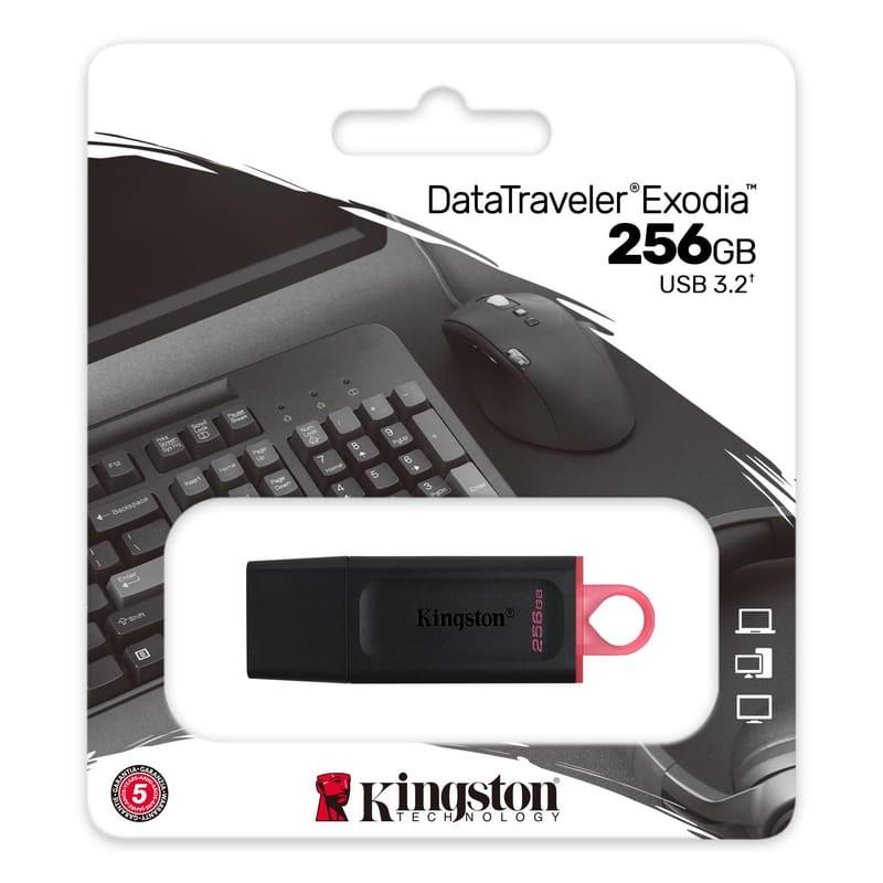 Kingston DataTraveler Exodia USB 256 Go (3.2 Gen 1) - Peu