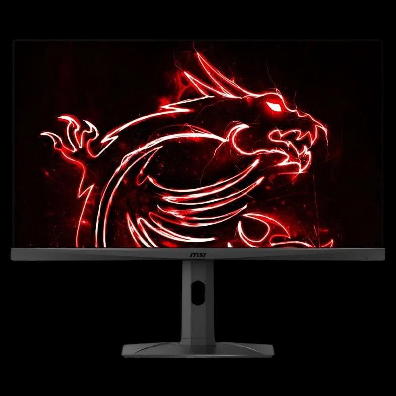 MSI MAG321QR QD 31.5 WQHD FreeSync Premium IPS Negro -  Monitor PC