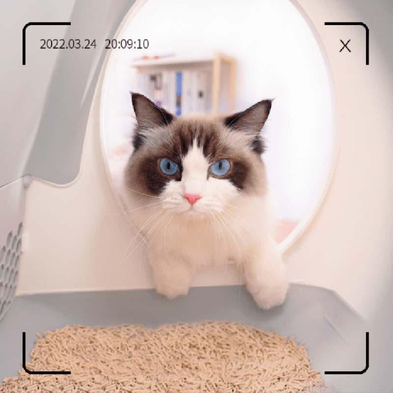 UBPet UCAT C10 Pro - visión interna de la cámara