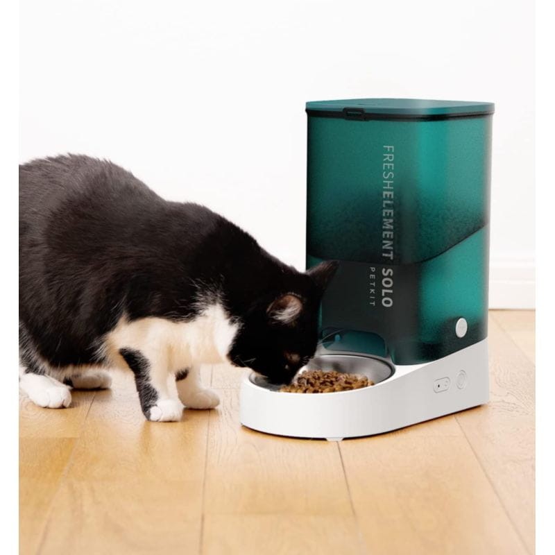 Gato comendo no Comedouro Inteligente Para Animais de Estimação PETKIT Fresh Element SOLO Cinza
