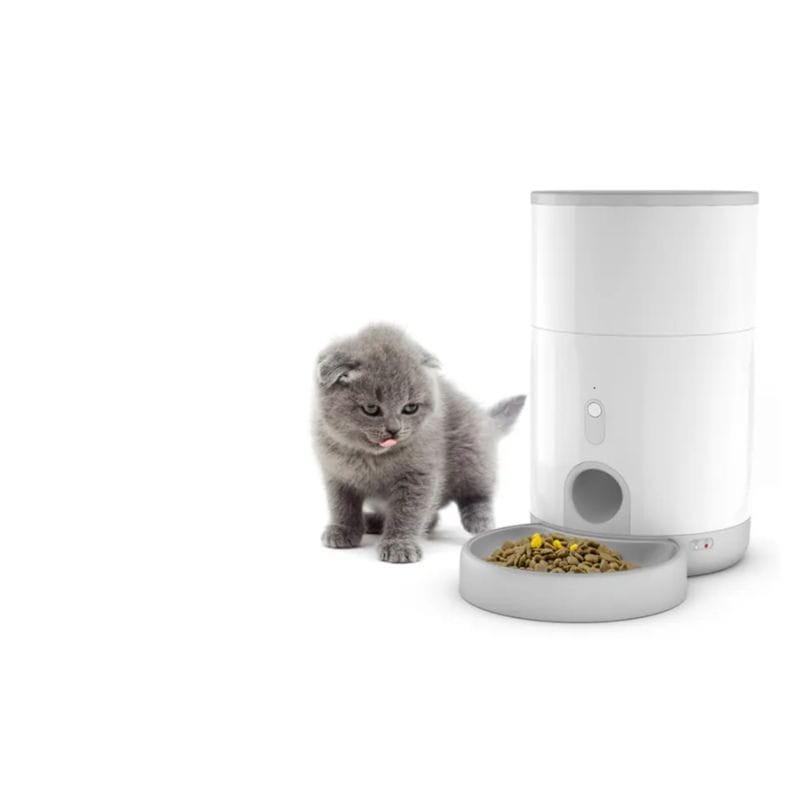 Gato junto ao Alimentador Inteligente Para Mascotas Petoneer Nutri Mini Feeder