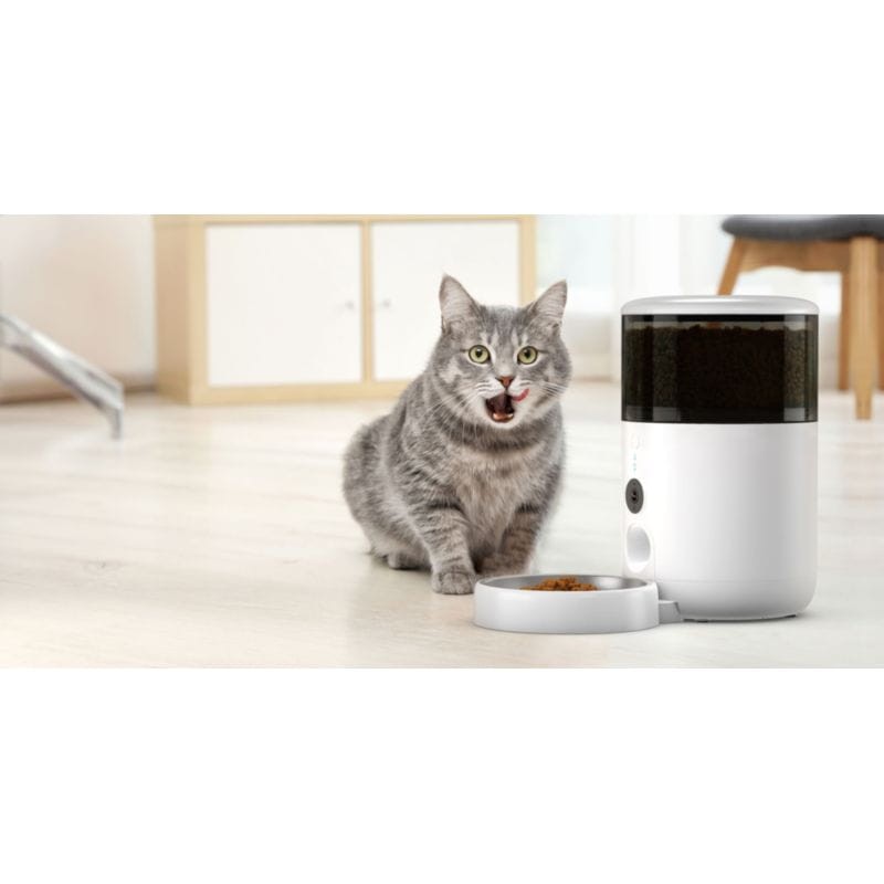 Gato junto ao Alimentador automático Petoneer NutriVue Feeder Branco
