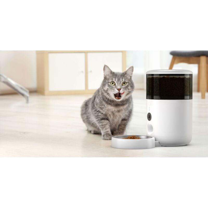Gato junto ao Alimentador automático Petoneer NutriVue Feeder Branco