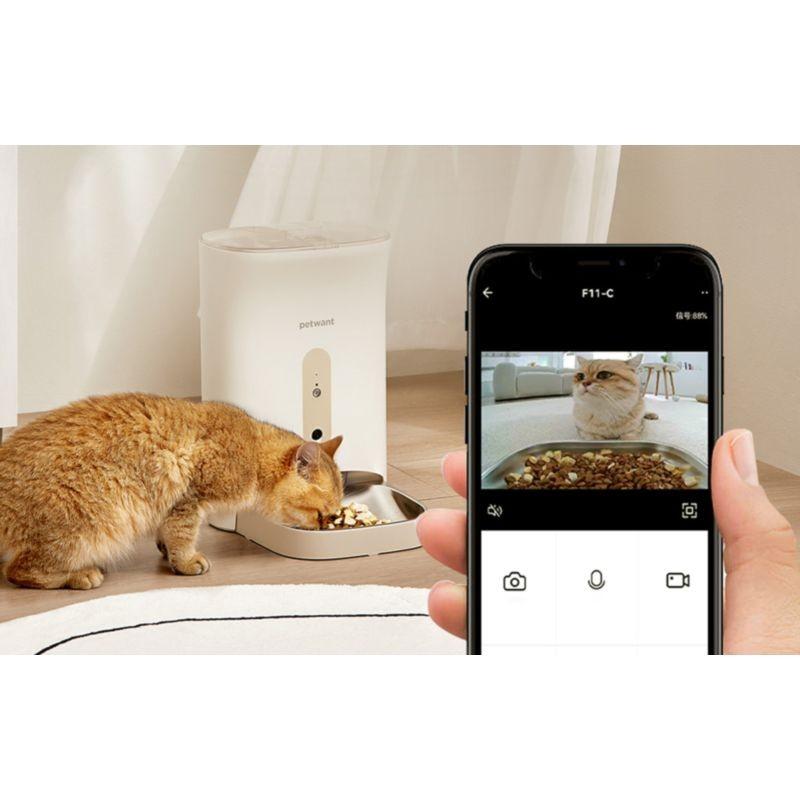 Vue via l'application du chat mangeant avec le PetWant F11-C - Distributeur automatique de nourriture