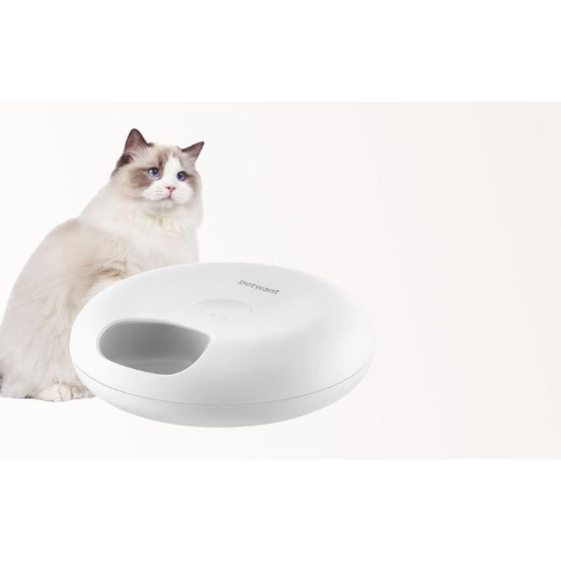 Chat à côté du Distributeur de Nourriture Intelligent PetWant F13