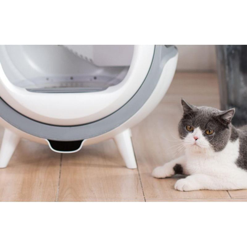 Gato junto al Arenero Autolimpiable para gatos Petwant IP-C101WIFI