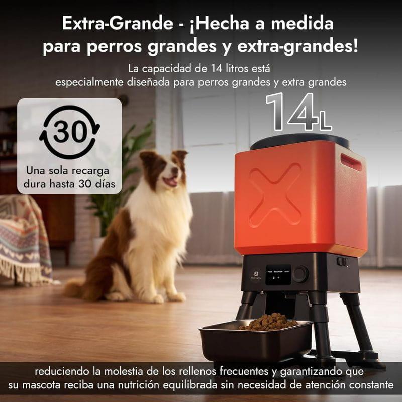 Molly & Cody Titan 14L mangeoire intelligente: grand réservoir 14 L, distributeur automatique avec écran, bol inclus, idéale pour grands chiens et très