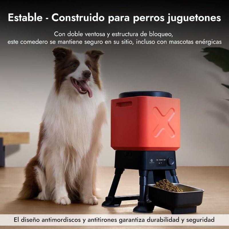 Molly & Cody Titan 14L mangeoire intelligente rouge avec double ventouses, verrouillage et bol amovible; base antidérapante pour chiens énergiques
