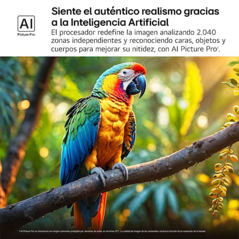 Pantalla LG AI 75QNED92A6A 75 pulgadas con QNED evo MiniLED 4K, colores vivos y alto contraste; destaca un ave con detalle nítido en primer plano