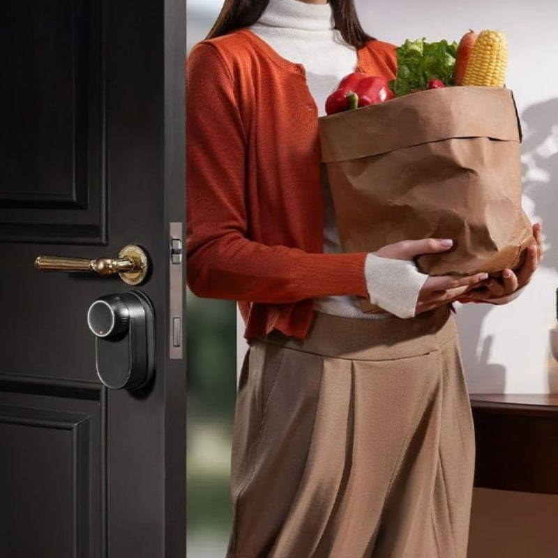 Cerradura inteligente SwitchBot Lock Ultra Plateada instalada en puerta negra, diseño compacto con acabado metálico y perilla lateral circular elegante.